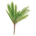 Ver imagem 1 de Planta Permanente Estilo Samambaia 47cm