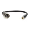 Cabo Adaptador P2 Femea para Xlr Macho - 10 Metros - 1