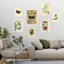 Ver imagem 2 de Kit 7 Quadros Decorativos Borboletas - com Vidro: Moldura Branca
