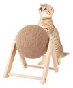 Ver imagem 1 de Arranhador Modelo Bola Exercícios Para Gatos