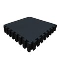 Ver imagem 1 de Kit 10 Tatame Eva Linha Premium 50x50x1cm 10mm Preto