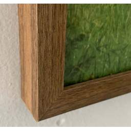 Quadro Decorativo Animais Leão Leoa e Filhotes - 2