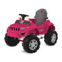 Ver imagem 5 de SUPERJIPE RECLINAVEL COM CAPOTA PASSEIO E PEDAL PINK