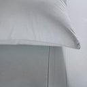 Ver imagem 2 de Jogo de Cama Queen Size Gran Percalle Classic Verde 4 Peças 200 Fios 100% Algodão Buddemeyer