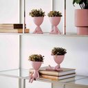 Ver imagem 3 de Vaso Bob Robert Plant Sentando Em Poliresina Rosa 18x10x10cm