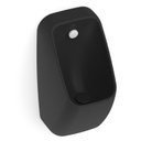 Ver imagem 1 de Mictório Rimless com Entrada Traseira Proton Square Roca