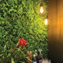 Ver imagem 1 de Kit 10 Placa Revestimento Parede Quadro Jardim Vertical Artificial Acabamento Decoração Flexivel