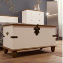 Ver imagem 1 de Baú Retrô Off White/nogueira