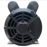 Motor Eletrico 2 Cv 110/220v 4 Polos Baixa Rotação Eberle Motores - 3