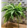 Suporte Tripé de Ferro P/ Vasos e Plantas 27x60cm Alto - 5