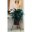 Ver imagem 4 de Suporte Tripé de Ferro P/ Vasos e Plantas 27x60cm Alto