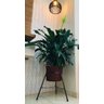 Suporte Tripé de Ferro P/ Vasos e Plantas 27x60cm Alto - 4