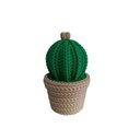 Ver imagem 5 de Kit com 2 Cactos - Vasos Decorativos Impressão 3d