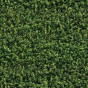 Ver imagem 7 de Papel de Parede 9M Adesivo Samambaia Verde Auto Colante Jardim Muro Inglês Flores Paisagem Natural