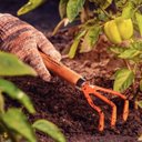 Ver imagem 3 de Kit Conjunto Jardinagem 3 Peças Cabo Madeira + Tesoura de Poda + Borrifador 1 Litro | Tramontina
