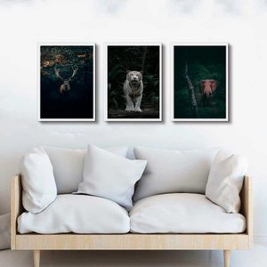 Kit 3 Quadros Animais- Vida Selvagem 45x34cm:madeira Preta