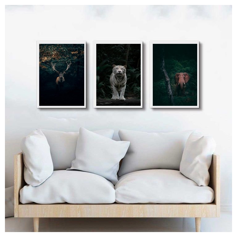 Kit 3 Quadros Animais- Vida Selvagem 45x34cm:madeira Preta