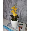 Ver imagem 1 de Arranjo De Mini Orquídea Amarela Vaso Branco Redondo