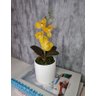 Arranjo De Mini Orquídea Amarela Vaso Branco Redondo - 1