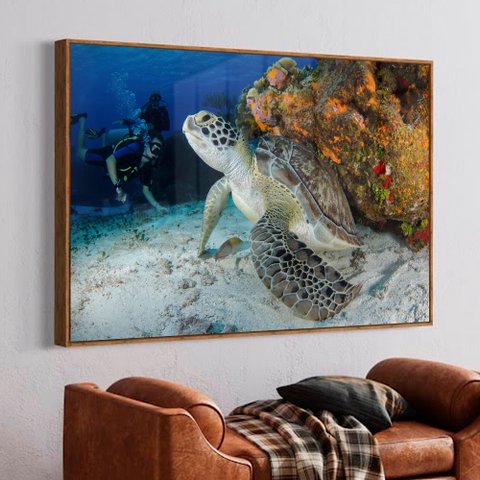 Quadro Decorativo Tartaruga  em Moldura Caixa TaColado Moldura Trad 1cm Madeira Escura com Vidro 40 