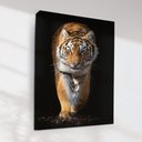 Ver imagem 2 de Quadro Decorativo Tigre Fundo Preto
