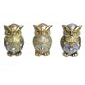 Trio de Coruja Decorativa Em Resina inteligência Sabedoria Conhecimento Reflexão Sorte professor mes - 5