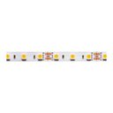 Ver imagem 1 de Fita de Led Stella Eco com 5 Metros 10w 12v 6500k Luz Branca