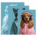 Ver imagem 3 de Kit 3 Quadro Decorativo Cachorro Fashion Loja Casa Shopping Qualidade Premium Moderno 28x20cm