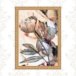 Quadro Moldura Dourada Flor Rosada 45x34cm:com Vidro - 1