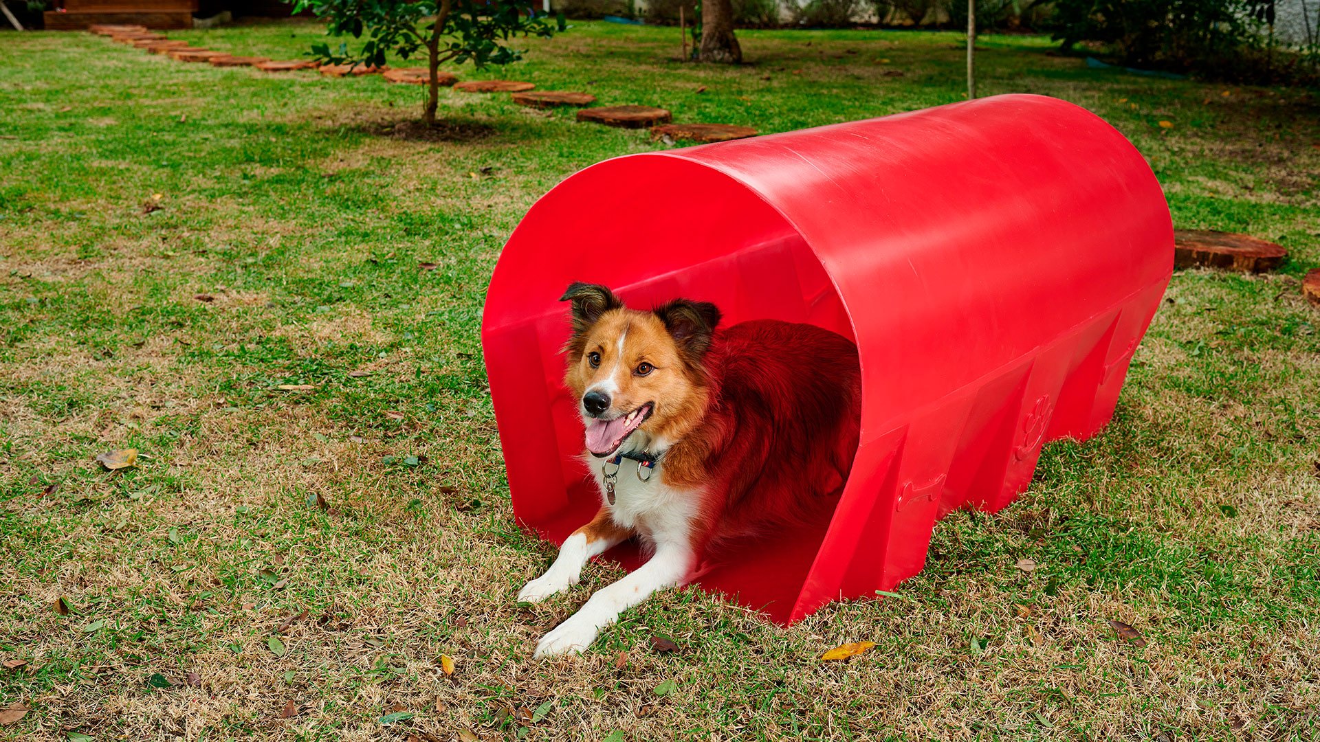 Túnel para Cachorro Agility Pet Freso - 2