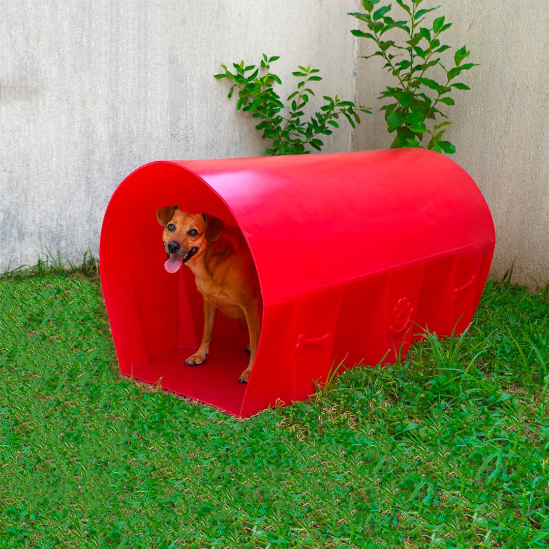 Túnel para Cachorro Agility Pet Freso - 3