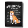 Quadro Decorativo Anatomia Shiba Inu Cachorro Desenho - 1