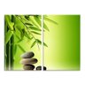 Kit 2 Telas Decorativas Bambu Da Sorte Feng Shui - 1