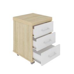 Conjunto Home Office 2 Peças 1 Mesa em L 1 Gaveteiro Baixo Tamburato  - 15