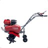 Motocultivador Tratorito Jardineiro 6,5cv - Branco - 10