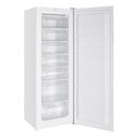 Ver imagem 3 de Freezer e Conservador Vertical Eos 242 Litros Ecogelo Efv300 220v