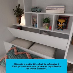 Treliche com Baú Office New Conect Santos Andirá - 11 Treliche com Baú Office New Conect Santos Andirá - 11