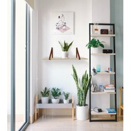 Kit Prateleira Mila 1,00mt - Natural/marrom - 5