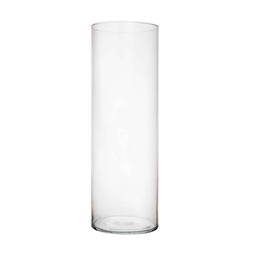 Vaso Trans - 1