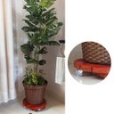 Ver imagem 7 de Suporte para Vaso de Planta Redondo Rodinhas Gel Silicone 30cm