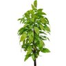 Arvore Seringueira Artificial 170 Cm - 1