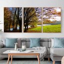 Ver imagem 1 de Quadro Canvas Ávore e Rio 70x50