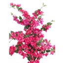 Ver imagem 4 de Kit 10 Galhos Flores de Bougainville 75cm Artificial