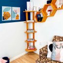 Ver imagem 2 de Estante de Canto de Madeira Pinus 5 Prateleiras Linea Carvalho