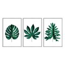 Ver imagem 1 de Kit 03 Quadros Decorativos - Folhas Tropicais Verde Escuro Flnt007 - Vidro com Impressão Uv 40x60cm