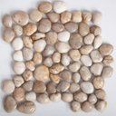 Ver imagem 3 de Seixo Polido Grande 30,5x30,5cm Bege Glass Mosaic