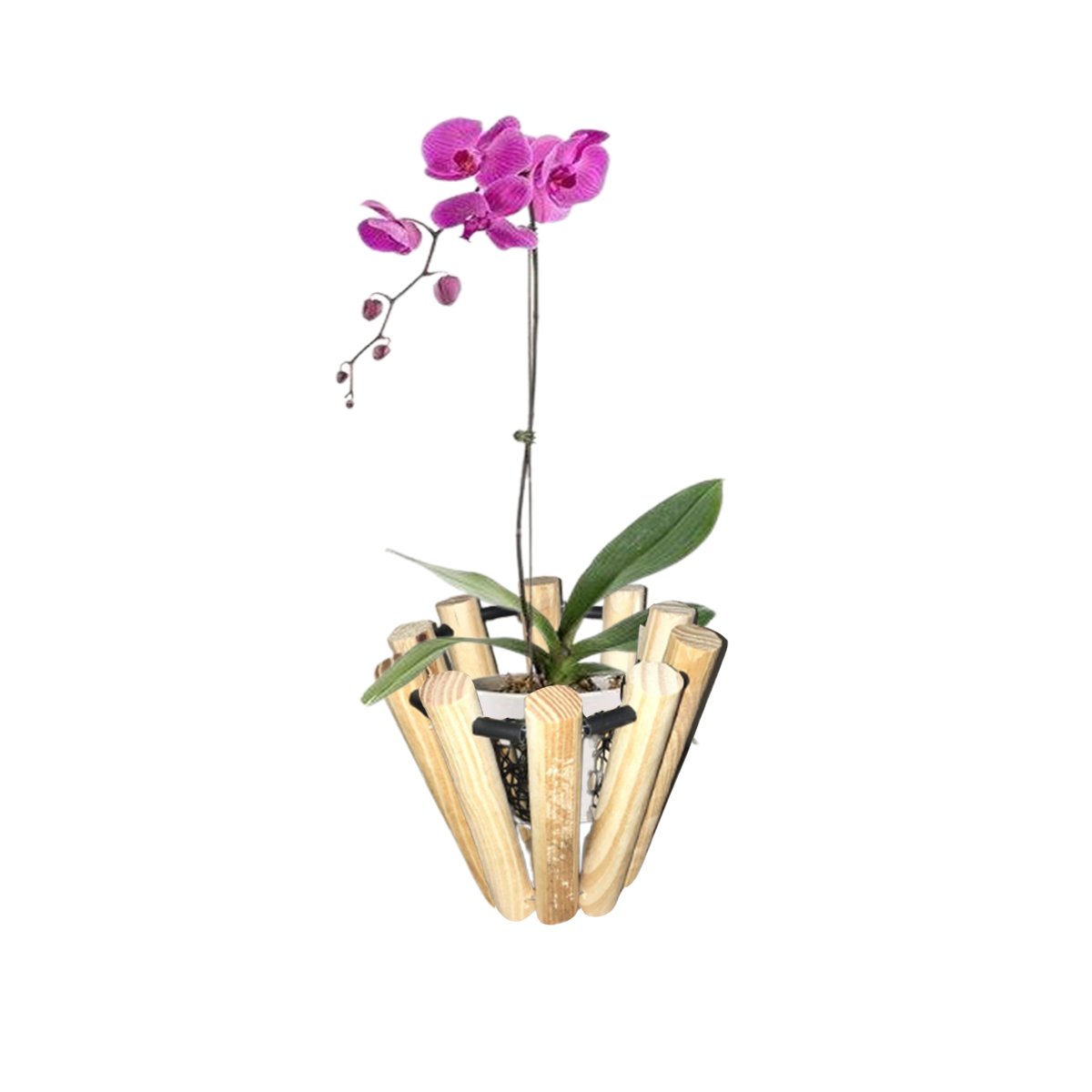 Vaso Jardinagem Cachepot Orquídeas Semente Flores - 1