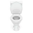 Ver mais imagens de Kit de Bacia com Caixa Acoplada 6 Litros Saveiro Branco Celite