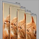 Ver imagem 3 de Adesivo Para Porta Animais Gatinho Com Olho Azul- 83X210Cm