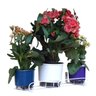 Jardim Vertical - Suporte de Parede Branco para Vasos - Combinação Perfeita de Leveza e Resistência - 2